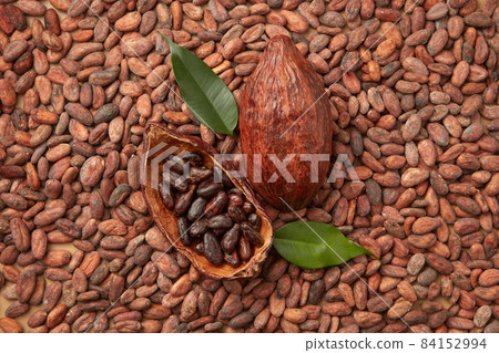 Pod of raw organic beans 84152994