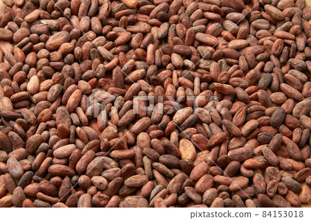 Heap of dried organic cocoa beans 84153018