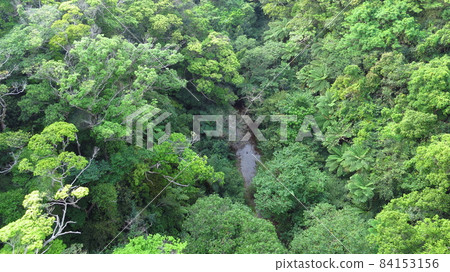 World Natural Heritage Yanbaru Spring World Natural Heritage Yanbaru Spring 84153156