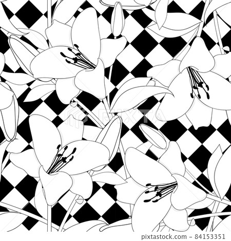 White Lily Line on Black White Diamond Background. 84153351