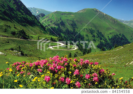 Vorarlberg, Austria. June 2014. Curvy mountain road through the Silvretta Hochalpstrasse near the Bielerhohe. Vorarlberg, Austria. June 2014. Curvy mountain road through the Silvretta Hochalpstrasse near the Bielerhohe. 84154558