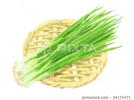 Zaru prime green onion 84155471