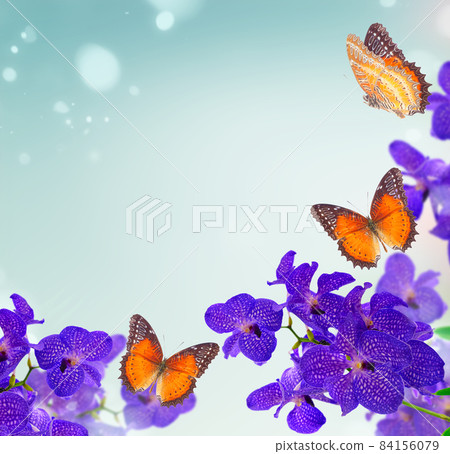 Bunch of blue orchids Bunch of blue orchids 84156079