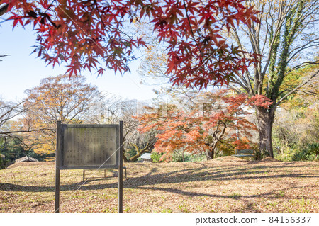 Historic site Kanayama Castle Ruins Main castle information board 84156337