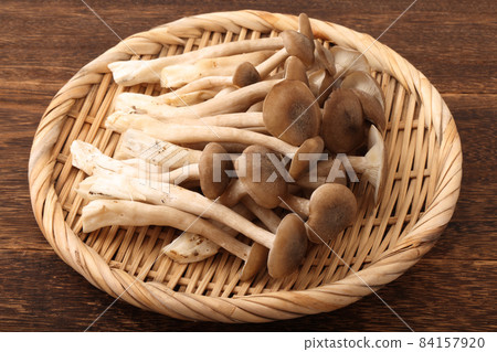 Hatakeshimeji (mycelial bed) Hatakeshimeji (mycelial bed) 84157920