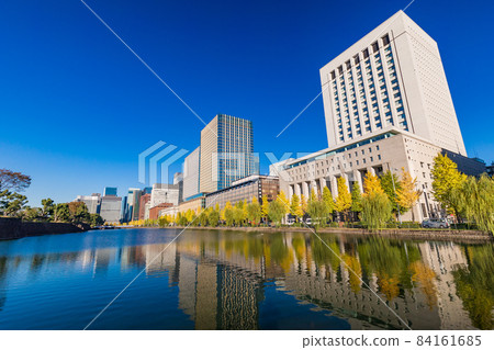 (Tokyo) Hibiya Passion Ginkgo Namiki Fall leaves 84161685