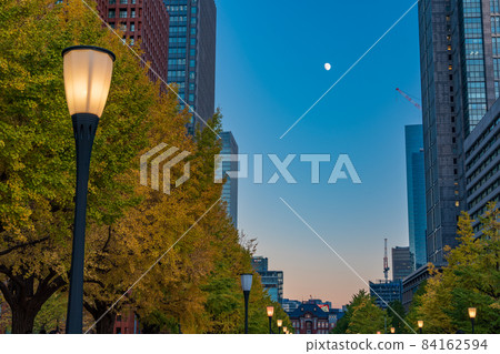 (Tokyo) Marunouchi Ginkgo trees, autumn leaves, and illuminations on Gyoko-dori 84162594