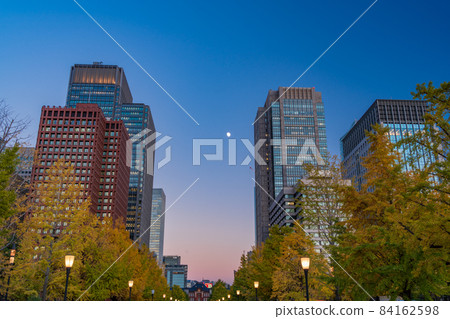 (東京)丸之內銀杏樹、秋葉、行古通燈飾 (東京)丸之內銀杏樹、秋葉、行古通燈飾 84162598