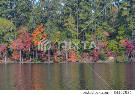 Beautiful leaf colors reflecting on Hamburg Lake in Mitchell, Washington County, Georgia Beautiful leaf colors reflecting on Hamburg Lake in Mitchell, Washington County, Georgia 84162925