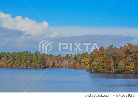 Beautiful leaf colors reflecting on Hamburg Lake in Mitchell, Washington County, Georgia 84162928