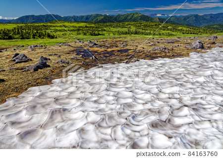 Summer Naeba Mountain Mountain Raised Bog and Remaining Snow Summer Naeba Mountain Mountain Raised Bog and Remaining Snow 84163760