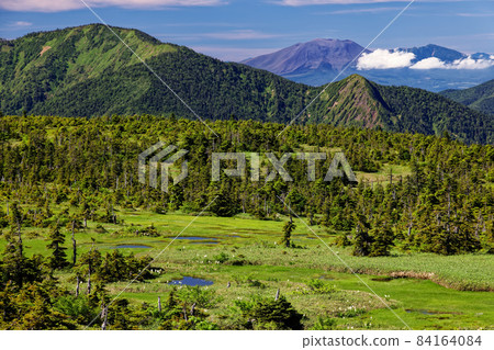 苗場山山頂沼澤和三布魯山/淺間山的夏季景色 苗場山山頂沼澤和三布魯山/淺間山的夏季景色 84164084