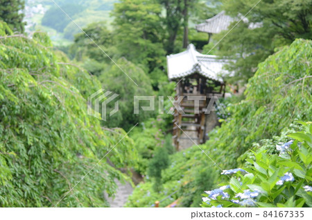 京都吉峰寺的繡球花園 京都吉峰寺的繡球花園 84167335