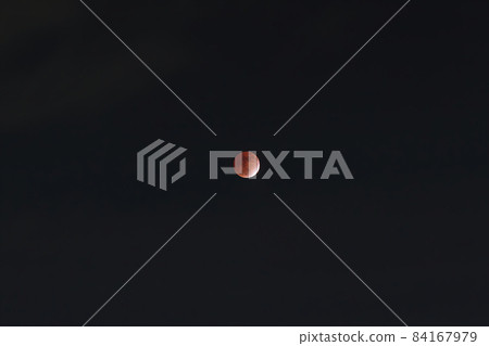 November 19 Almost total lunar eclipse taken from Atsugi City, Kanagawa Prefecture 84167979