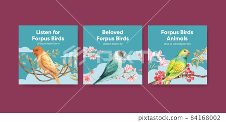 Banner template with forpus bird concept,watercolor style Banner template with forpus bird concept,watercolor style 84168002