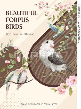 Poster template with forpus bird concept,watercolor style Poster template with forpus bird concept,watercolor style 84168010