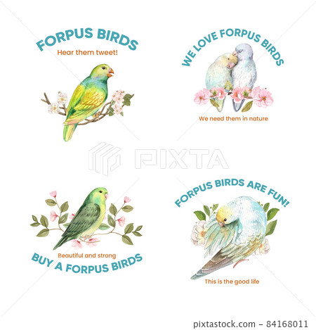 Logo design with forpus bird concept,watercolor style 84168011