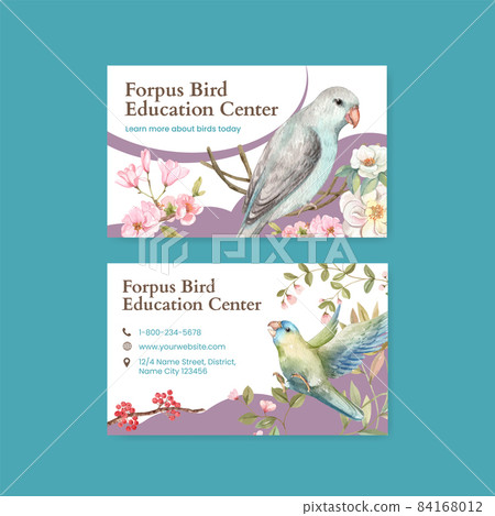 Namecard template with forpus bird concept,watercolor style Namecard template with forpus bird concept,watercolor style 84168012