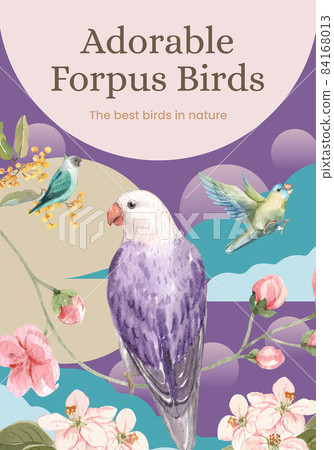 Poster template with forpus bird concept,watercolor style Poster template with forpus bird concept,watercolor style 84168013