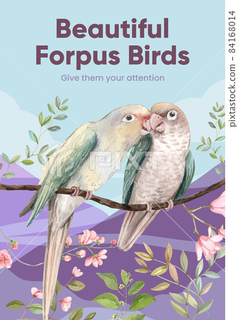 Poster template with forpus bird concept,watercolor style 84168014