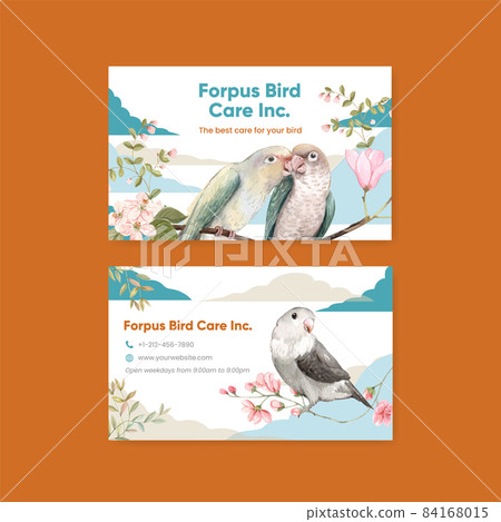 Namecard template with forpus bird concept,watercolor style Namecard template with forpus bird concept,watercolor style 84168015