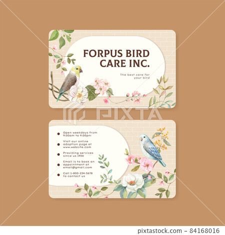 Namecard template with forpus bird concept,watercolor style Namecard template with forpus bird concept,watercolor style 84168016