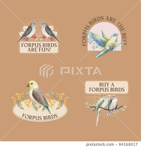Logo design with forpus bird concept,watercolor style Logo design with forpus bird concept,watercolor style 84168017