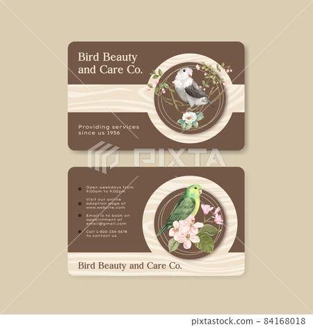 Namecard template with forpus bird concept,watercolor style 84168018