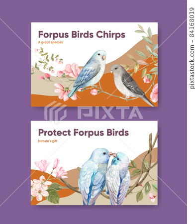 Facebook template with forpus bird concept,watercolor style Facebook template with forpus bird concept,watercolor style 84168019