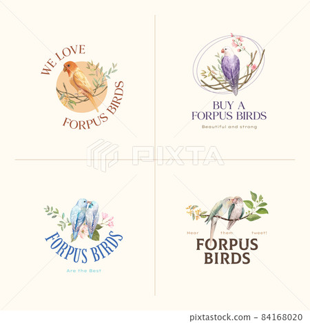 Logo design with forpus bird concept,watercolor style 84168020