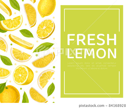 Bright Yellow Lemon Citrus Fruit with Green Leaf Vector Card Template 84168928