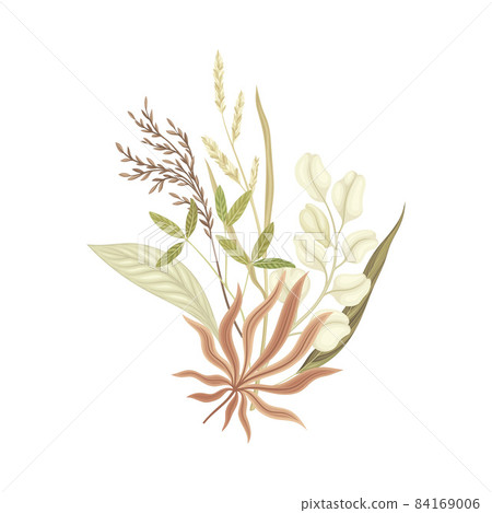 Bouquet of wild dried flowers in trendy colors for your own design vector illustration 84169006