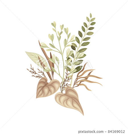 Dried exotic plants and flowers. Bouquet in taupe, dusty pink, brown, sepia trendy colors for your own design vector illustration 84169012