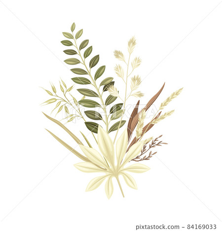 Dried plants bouquet. Grass and flowers in taupe, dusty pink, brown, ivory, sepia trendy colors for your own design vector illustration 84169033