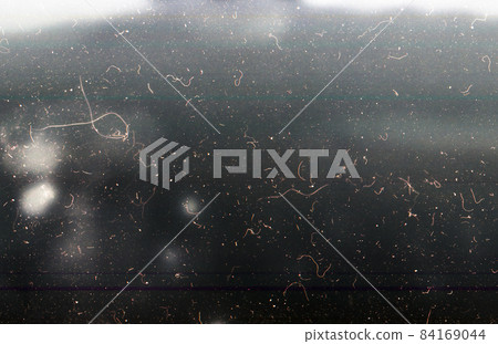 close up photography negative 2. High quality beautiful photo concept 84169044