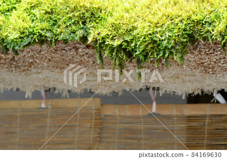 京都府宮山町茅吹之裡茅草屋頂 84169630