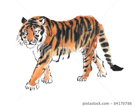 用水墨畫技法繪製的一隻行走的老虎 84170786