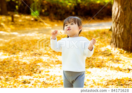 Girl playing with ginkgo deciduous leaves Girl playing with ginkgo deciduous leaves 84171628