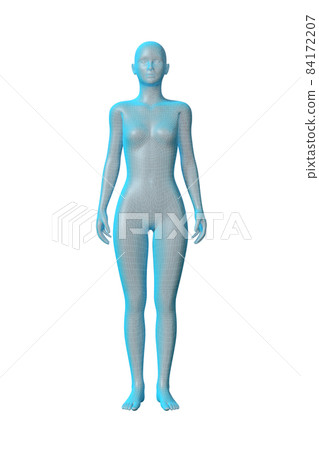 Female body, body, transparent 3D model 84172207