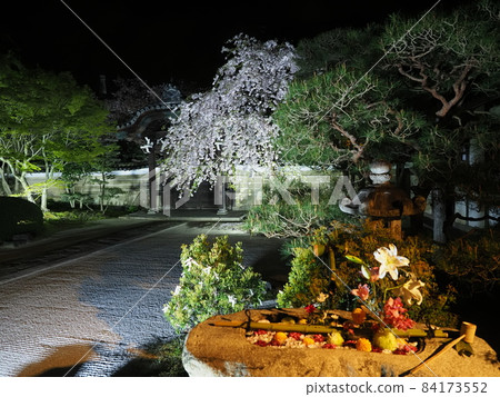 京都妙見寺夜景 84173552