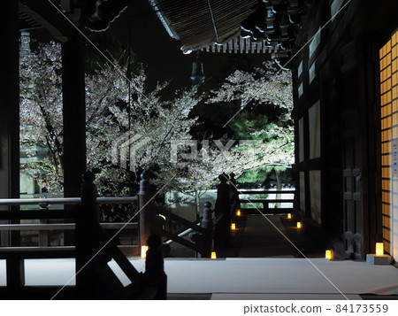 Kyoto Myokenji night view 84173559