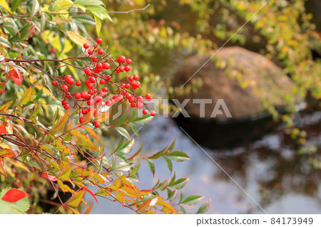 Autumn Inagawa scenery Autumn Inagawa scenery 84173949