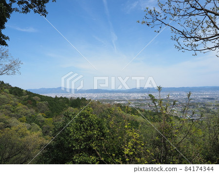 Spring at Rakusai Kinzoji Temple in Kyoto 84174344