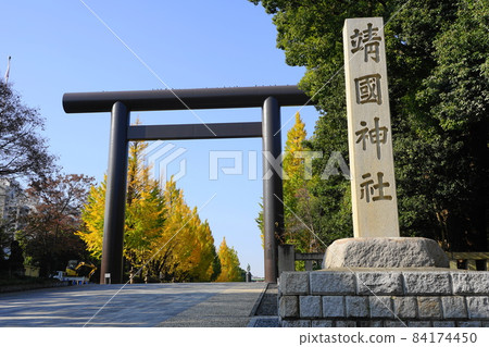 November Chiyoda 812 Yasukuni Shrine, yellow leaves of ginkgo (Ginkgo) 84174450