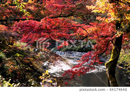 Gunma Kiryu River mountain stream scenery 84174648