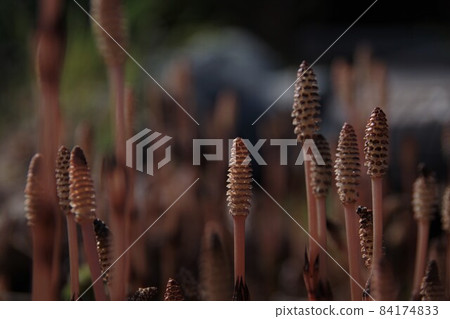 築心坊 1 築心坊 1 84174833