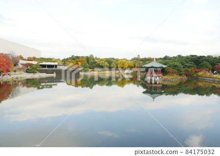 Autumn scenery at the National Museum of Korea Autumn scenery at the National Museum of Korea 84175032
