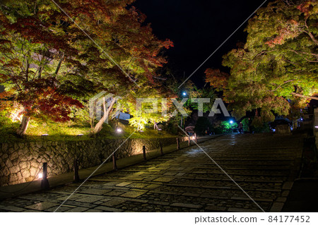 Kuroya Konkai Komyoji Autumn Leaves Illuminated 2021 84177452