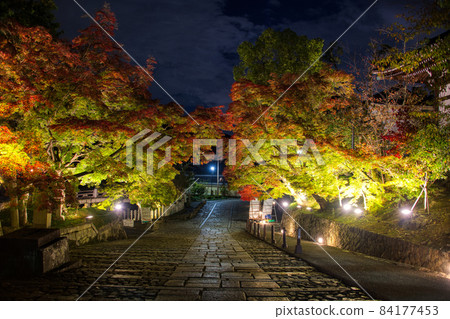 Kuroya Konkai Komyoji Autumn Leaves Illuminated 2021 84177453