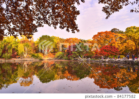 Beautiful autumn at Chundangji Temple in Changgyeonggung Palace 84177582